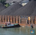 Gelombang Panas Dongkrak Harga Batu Bara, Eropa Siap Bayar Mahal