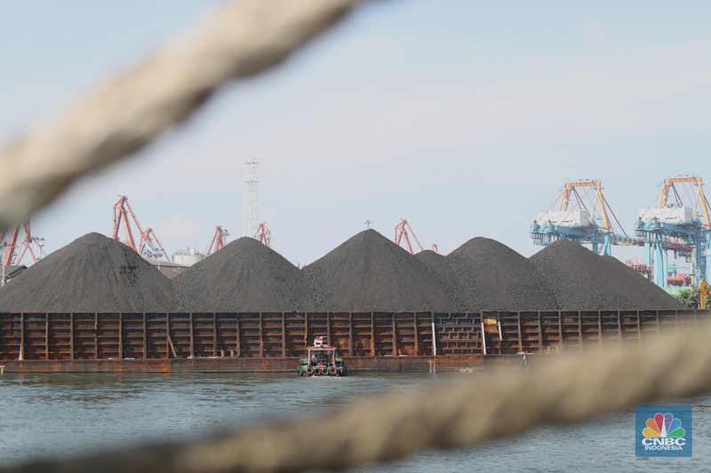 Kapal tongkang Batu Bara (CNBC Indonesia/Tri Susilo) Kapal tongkang Batu Bara (CNBC Indonesia/Tri Susilo)