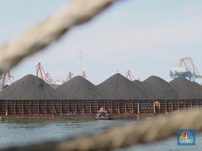 Harga Batu Bara Loyo Sepekan Ini, CPO Justru Tampil Perkasa!