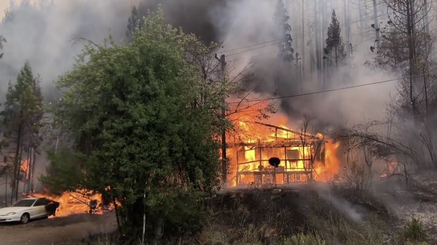 kebakaran hutan california, kebakaran hutan (AP)