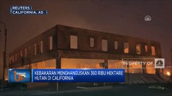 Kebakaran Hanguskan 360 Ribu Hektare Hutan di California