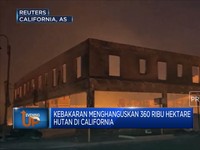Kebakaran Hanguskan 360 Ribu Hektare Hutan di California