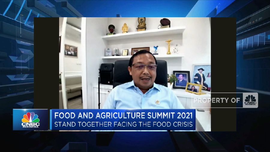 Mewujudkan Skema Kolaboratif hulu-hilir Sektor Pangan (CNBC Indonesia TV)