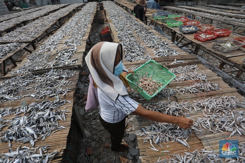 Pekerja menjemur ikan untuk di proses menjadi ikan asin di Muara Angke, Jakarta, Jumat (6/8/2021). (CNBC Indonesia/Andrean Kristianto) Pekerja menjemur ikan untuk di proses menjadi ikan asin di Muara Angke, Jakarta, Jumat (6/8/2021). (CNBC Indonesia/Andrean Kristianto)
