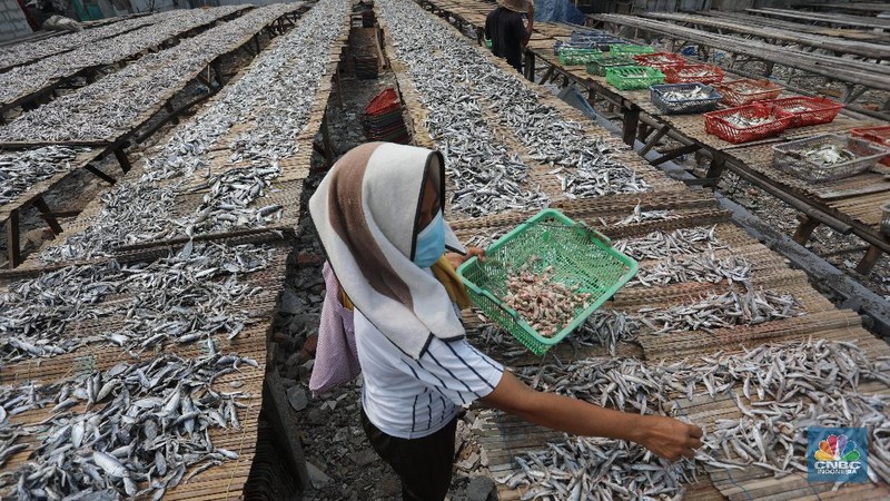 Pekerja menjemur ikan untuk di proses menjadi ikan asin di Muara Angke, Jakarta, Jumat (6/8/2021). (CNBC Indonesia/Andrean Kristianto)