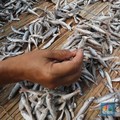 Pekerja menjemur ikan untuk di proses menjadi ikan asin di Muara Angke, Jakarta, Jumat (6/8/2021). (CNBC Indonesia/Andrean Kristianto)