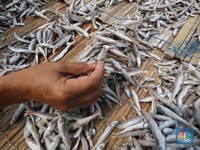 Pekerja menjemur ikan untuk di proses menjadi ikan asin di Muara Angke, Jakarta, Jumat (6/8/2021). (CNBC Indonesia/Andrean Kristianto)