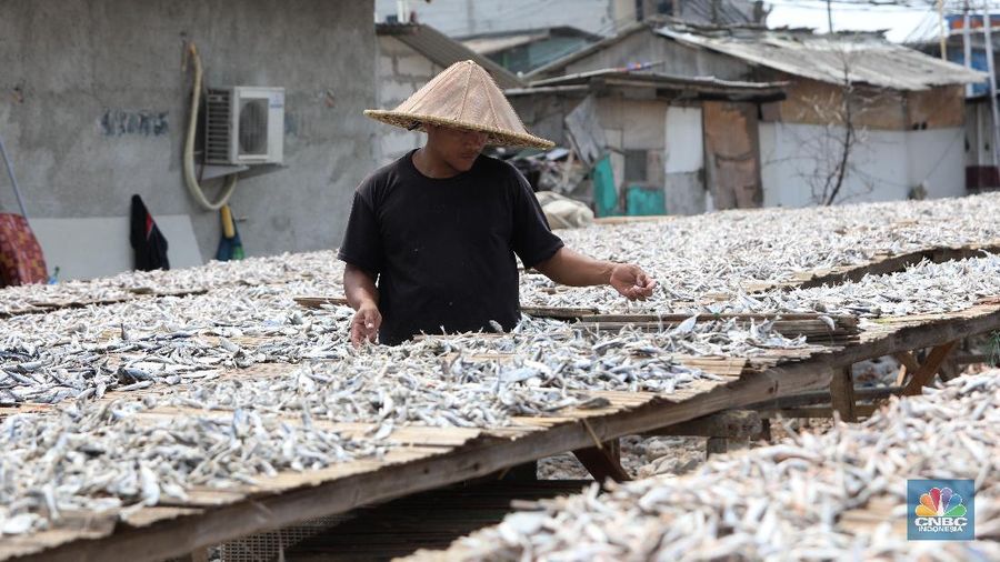 Pekerja menjemur ikan untuk di proses menjadi ikan asin di Muara Angke, Jakarta, Jumat (6/8/2021). (CNBC Indonesia/Andrean Kristianto)