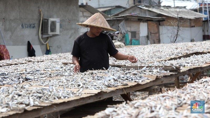 Pekerja menjemur ikan untuk di proses menjadi ikan asin di Muara Angke, Jakarta, Jumat (6/8/2021). (CNBC Indonesia/Andrean Kristianto)