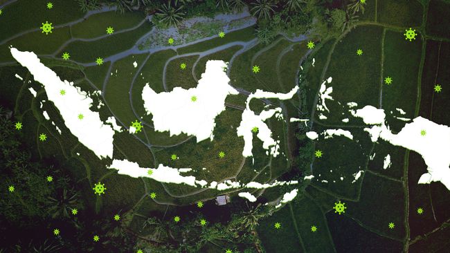 5 Provinsi Ini Sumbang Kasus Covid Terbanyak