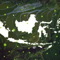 Update Terbaru: 5 Daerah RI dengan Kasus Covid-19 Tertinggi