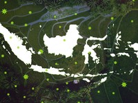 Update Terbaru: 5 Daerah RI dengan Kasus Covid-19 Tertinggi