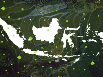 5 Provinsi Ini Sumbang Kasus Covid Terbanyak