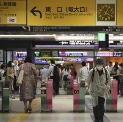 Mengenal Virus Baru Yezo di Jepang, Menular dari Kutu
