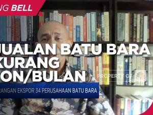 Dilarang Ekspor, Penjualan Batu Bara Hilang 3 Juta Ton/Bulan