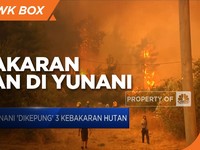 Yunani Dikepung 3 Kebakaran Hutan
