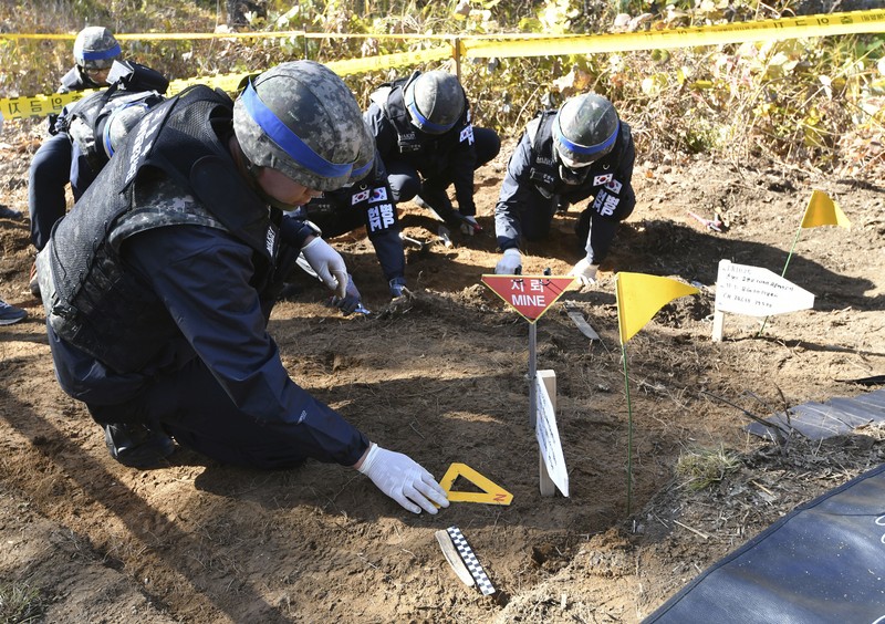 Suasana laboratorium identifikasi yang bekerja untuk memulihkan sisa-sisa korban yang tewas dalam Perang Korea 68 tahun yang lalu. (AP Photo/Ahn Young-joon) Lee Kyu-chang, a member of the central identification laboratory at the Ministry of National Defense Agency for Killed in Action Recovery & Identification, watches a screen showing dental X-rays of an unidentified soldier killed during the Korean War at the National Cemetery in Seoul, South Korea on July 26, 2021. The Korean War ended 68 years ago, but South Korea is still trying to recover its soldiers' remains. (AP Photo/Ahn Young-joon)