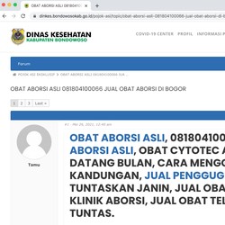 Parah! Penjual Obat Aborsi Gentayangan di Situs Pemerintah
