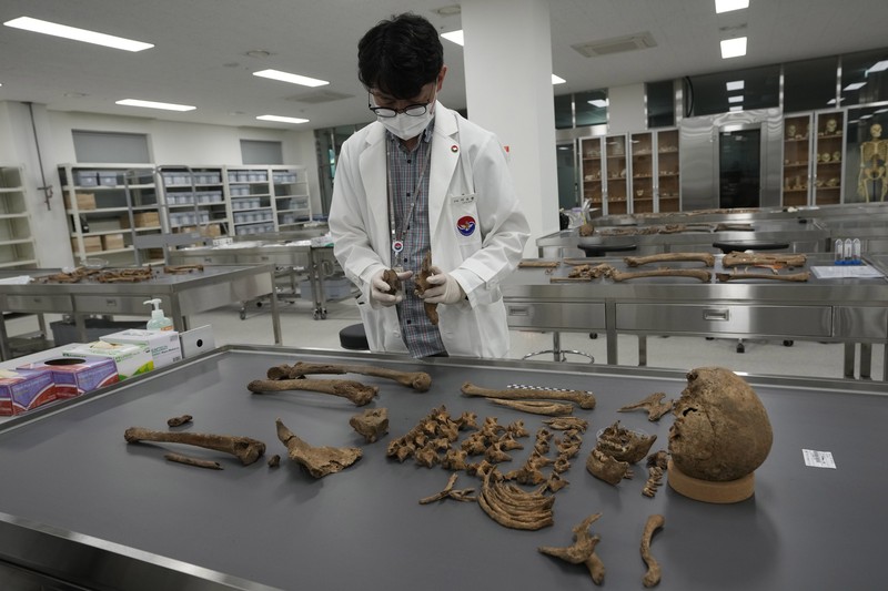 Lee Kyu-chang, a member of the central identification laboratory at the Ministry of National Defense Agency for Killed in Action Recovery & Identification, watches a screen showing dental X-rays of an unidentified soldier killed during the Korean War at the National Cemetery in Seoul, South Korea on July 26, 2021. The Korean War ended 68 years ago, but South Korea is still trying to recover its soldiers' remains. (AP Photo/Ahn Young-joon)