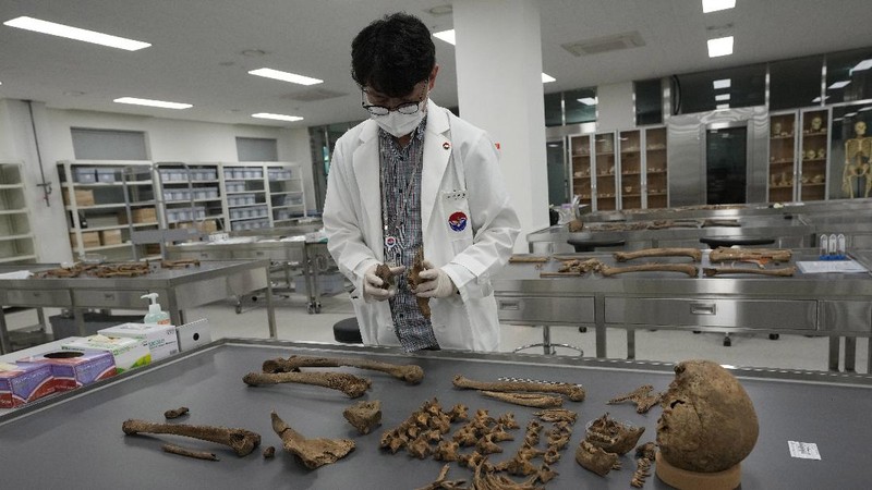 Lee Kyu-chang, a member of the central identification laboratory at the Ministry of National Defense Agency for Killed in Action Recovery & Identification, watches a screen showing dental X-rays of an unidentified soldier killed during the Korean War at the National Cemetery in Seoul, South Korea on July 26, 2021. The Korean War ended 68 years ago, but South Korea is still trying to recover its soldiers' remains. (AP Photo/Ahn Young-joon)