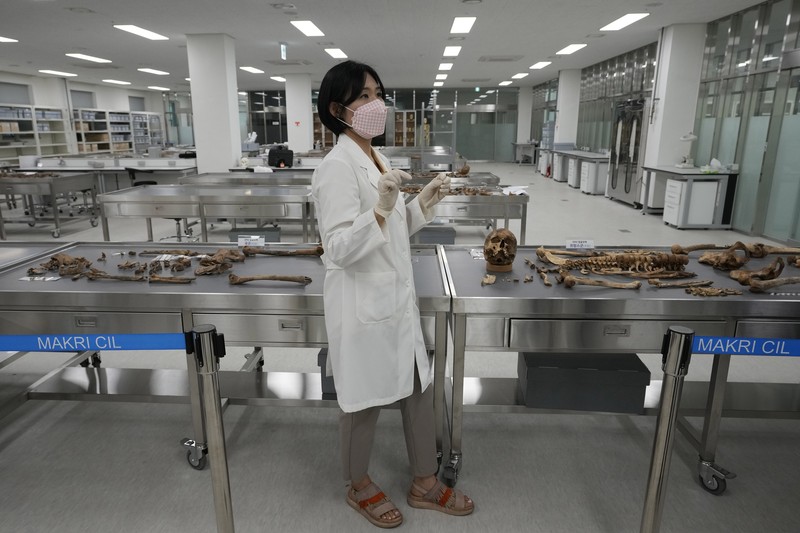 Lee Kyu-chang, a member of the central identification laboratory at the Ministry of National Defense Agency for Killed in Action Recovery & Identification, watches a screen showing dental X-rays of an unidentified soldier killed during the Korean War at the National Cemetery in Seoul, South Korea on July 26, 2021. The Korean War ended 68 years ago, but South Korea is still trying to recover its soldiers' remains. (AP Photo/Ahn Young-joon)