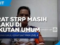 Kadishub DKI: Syarat STRP Masih Berlaku di Angkutan Umum