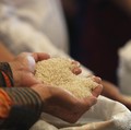 Doyan Gorengan-Mi Instan, Orang RI Tinggalkan Beras, Beneran?
