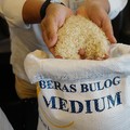 Buwas Sebut Bulog Punya Stok Beras 1,16 Juta Ton, Masih Aman?