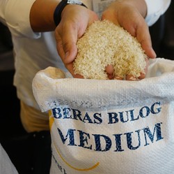 Buwas Sebut Bulog Punya Stok Beras 1,16 Juta Ton, Masih Aman?