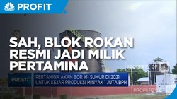 Sah! Blok Rokan Resmi Jadi Milik Pertamina