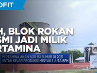 Sah! Blok Rokan Resmi Jadi Milik Pertamina