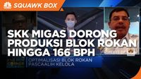 Strategi SKK Migas Dorong Produksi Blok Rokan 166 Ribu Bph