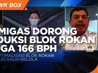 Strategi SKK Migas Dorong Produksi Blok Rokan 166 Ribu bph