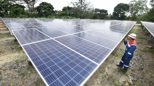 Perpres Perdagangan Karbon Resmi Terbit, Menhut Siapkan Aturan Turunan