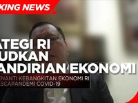 Stafsus Jokowi Soal Strategi RI Wujudkan Kemandirian Ekonomi