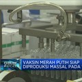 Vaksin Merah Putih Siap Diproduksi Massal Pada 1H-2022
