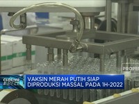 Vaksin Merah Putih Siap Diproduksi Massal Pada 1H-2022