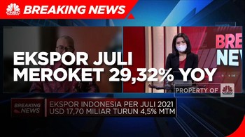 Harga Komoditas Masih Tinggi, Ekspor Juli Naik 29,32% (yoy)