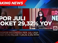 Harga Komoditas Masih Tinggi, Ekspor Juli Naik 29,32% (yoy)