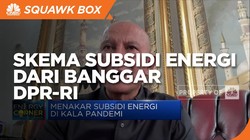 Begini Reformasi Skema Subsidi Energi dari Banggar DPR-RI