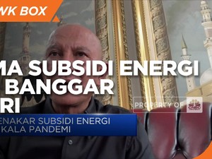 Begini Reformasi Skema Subsidi Energi dari Banggar DPR-RI