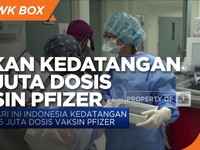 Indonesia akan Kedatangan 1,56 Juta Dosis Vaksin Pfizer