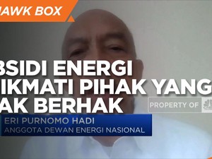 DEN: Subsidi Energi Banyak Dinikmati Pihak Yang Tidak Berhak