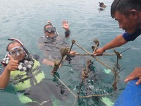 Peduli Lingkungan, PLN Kembangkan 32 Konservasi Flora Fauna