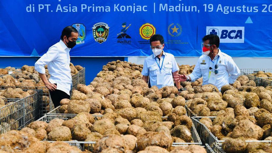 Presiden Joko Widodo meninjau pabrik porang di Madiun. (Dok: Biro Pers Sekretariat Presiden)