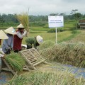 Pertamina Cetak Ribuan Lapangan Kerja di Blok Rokan