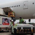 Pemerintah RI Apresiasi Solidaritas Global di Masa Pandemi
