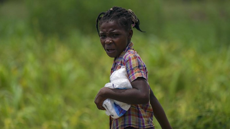 Korban gempa Haiti berebut sembako saat bantuan datang. (AP/Fernando Llano)