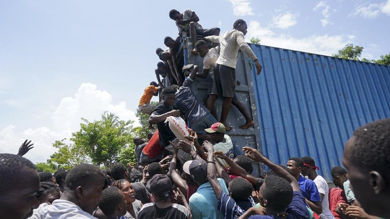 Korban gempa Haiti berebut sembako saat bantuan datang. (AP/Fernando Llano)