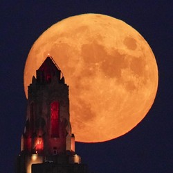 Super Blue Moon 30 Atau 31 Agustus, Ini Jadwal Terlihat di RI